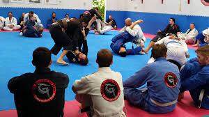 BRAZILIAN JIU JITSU – BJJ Fanatics