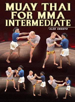 Muay Thai For MMA Intermediate by Alex Exsisto - BJJ Fanatics