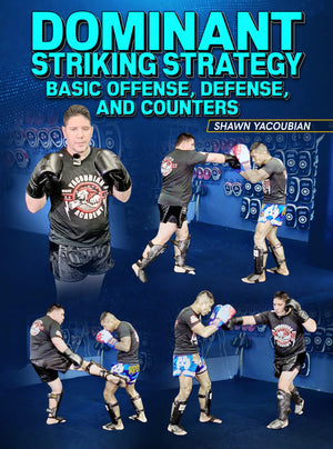 Dominant Striking Strategy by Shawn Yacoubian - BJJ Fanatics