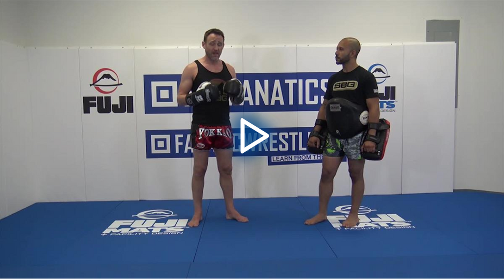 Fundamentals of Functional Striking by Stephen Whittier – BJJ Fanatics