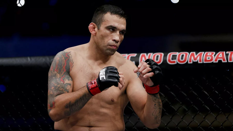 Fabricio Werdum