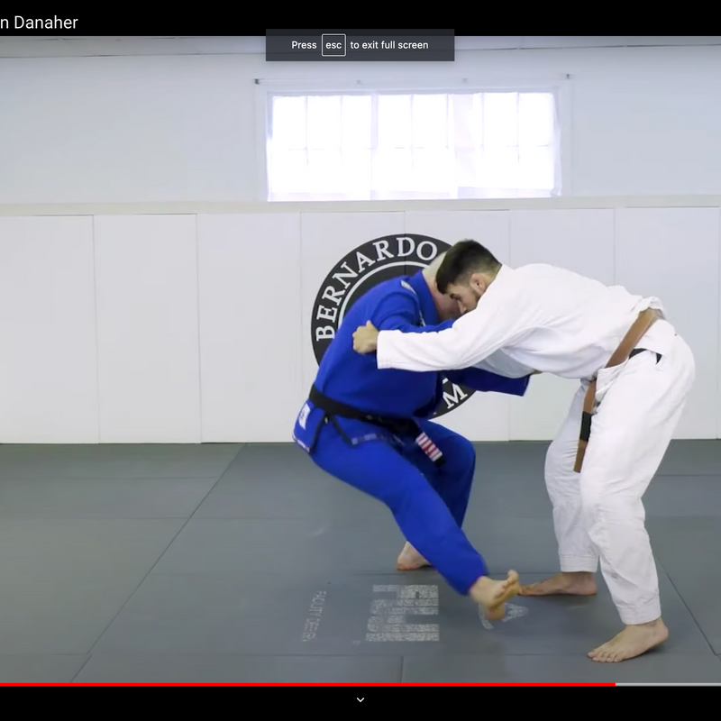 The Nth Dimension Of Brazilian Jiu-Jitsu 【公式通販】