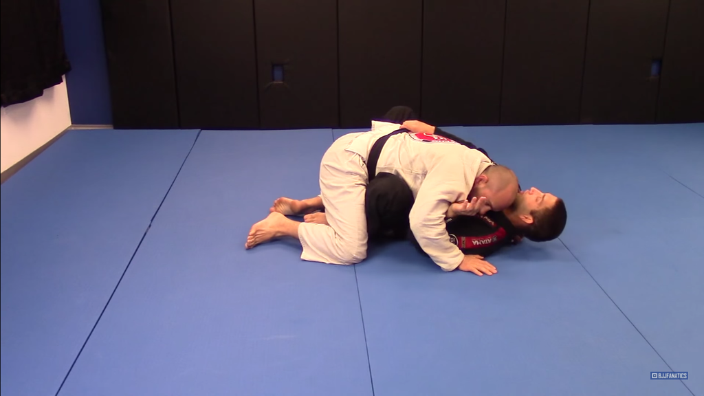 The Butterfly Guard System by Rafael Formiga