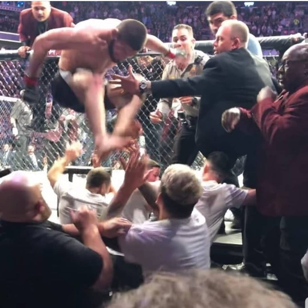 UFC 229 Ends in Chaos
