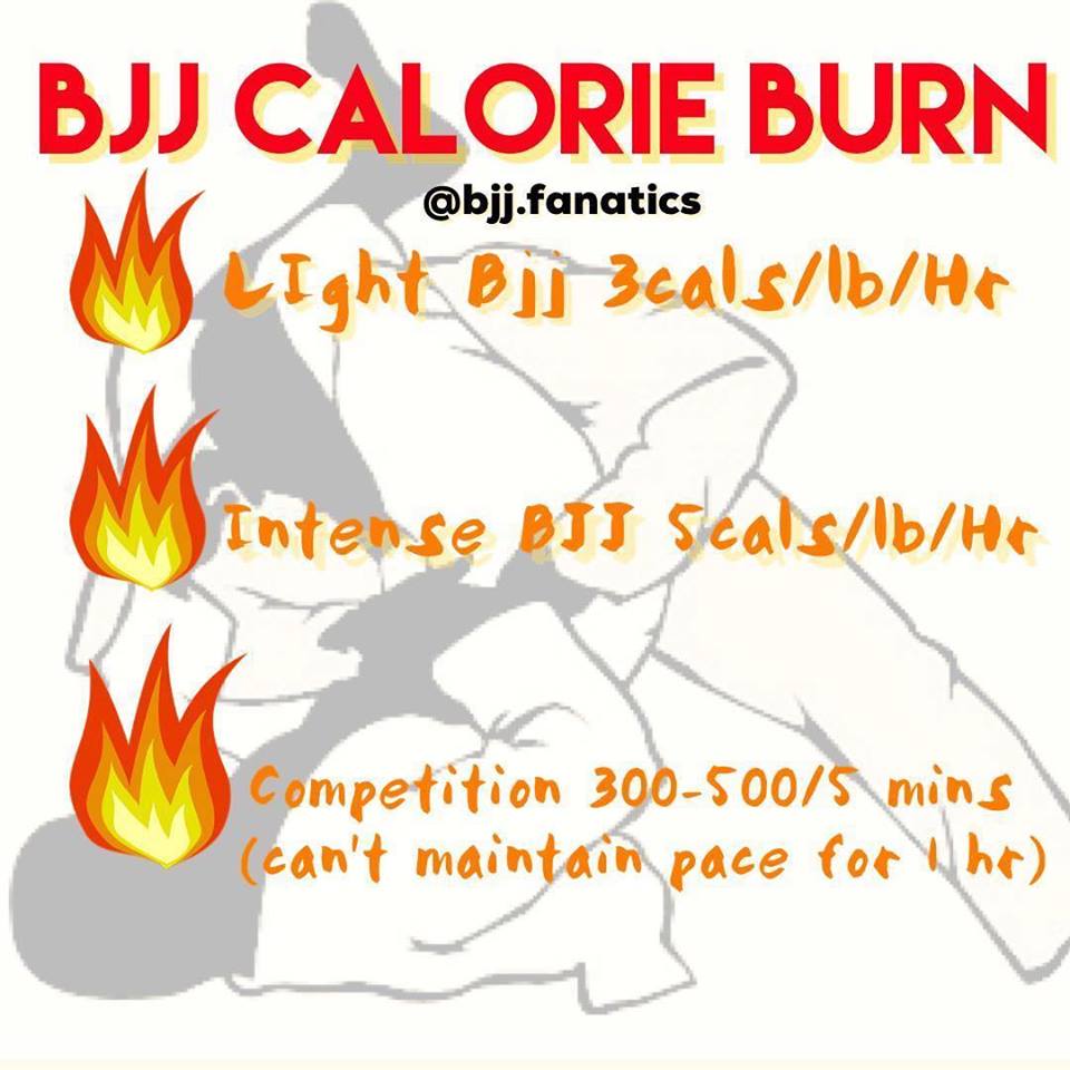 The Calorie Burning Capabilities of BJJ
