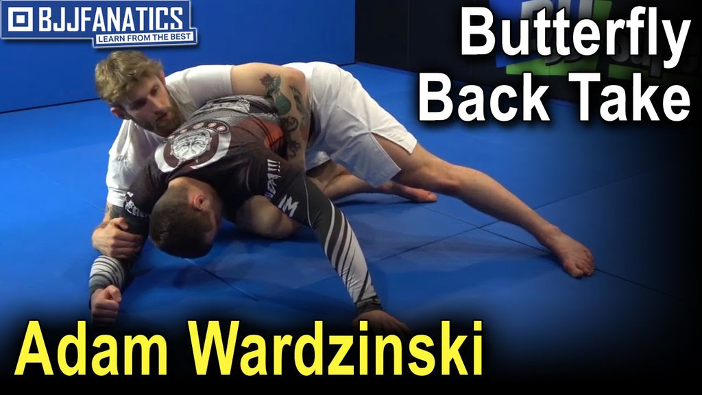 Take the Back From Butterfly Guard