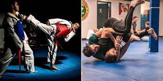 TAEKWONDO VS JIU JITSU