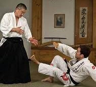 AIKIDO VS JIU JITSU