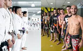 LUTA LIVRE VS BJJ