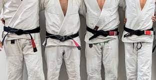 HOW MANY BJJ BLACK BELTS ARE THERE?