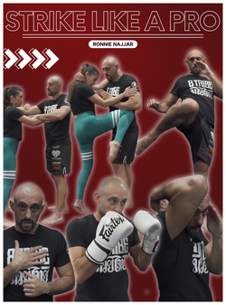 Strike Like a Pro by Ronnie Najjar - BJJ Fanatics