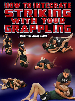 How to Integrate Striking With Your Grappling by Damien Anderson - BJJ Fanatics