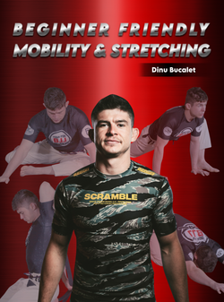 Beginner Friendly Mobility and Stretching by Dinu Bucalet - BJJ Fanatics