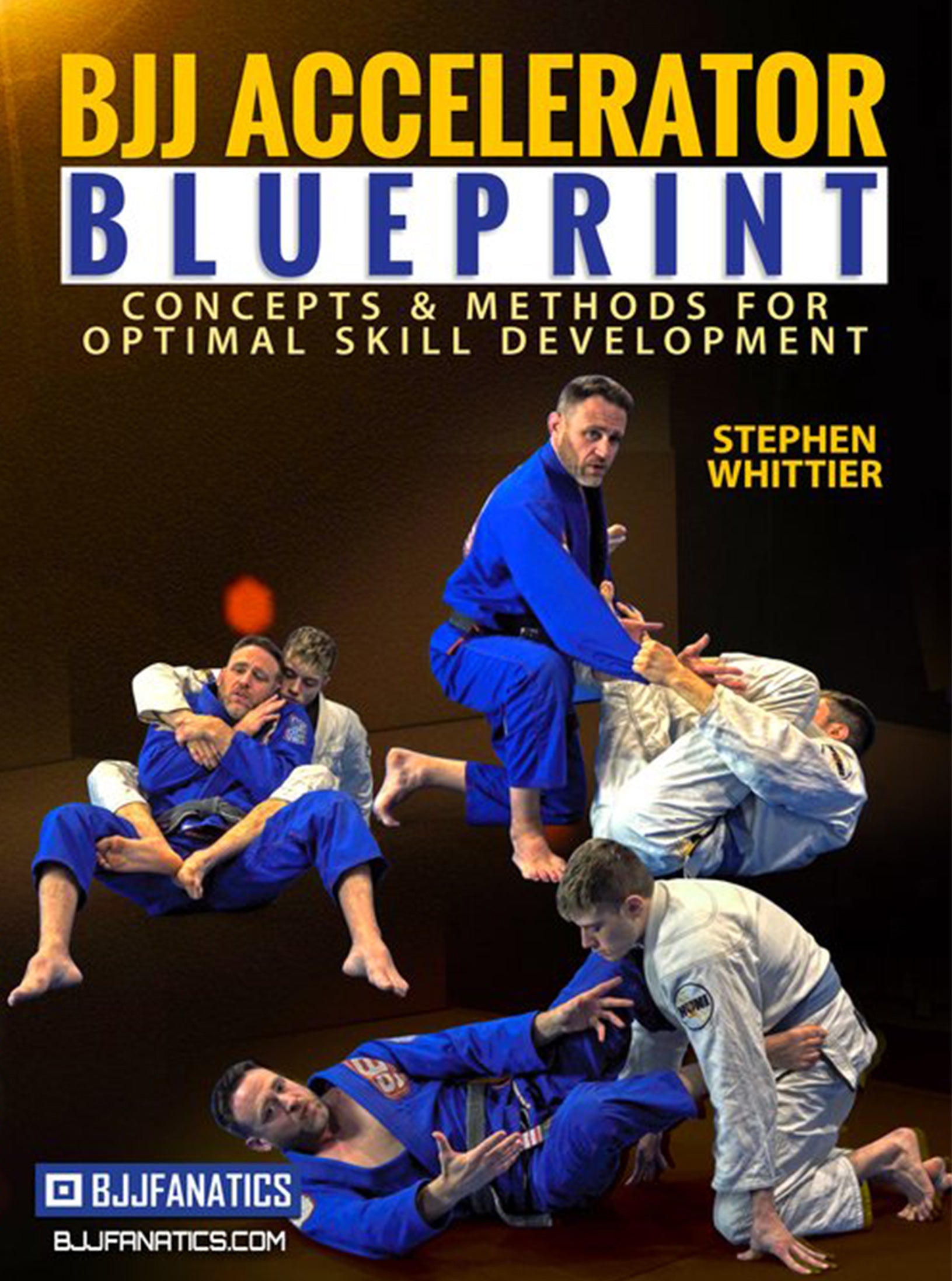 Fundamentals of Functional Striking by Stephen Whittier – BJJ Fanatics