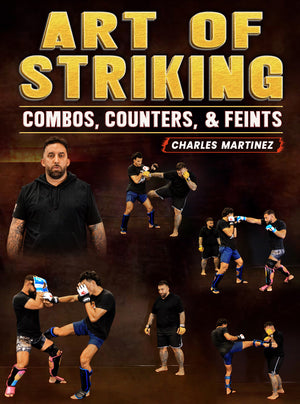 Art of Striking Combos, Counters, & Feints by Charles Martinez - BJJ Fanatics