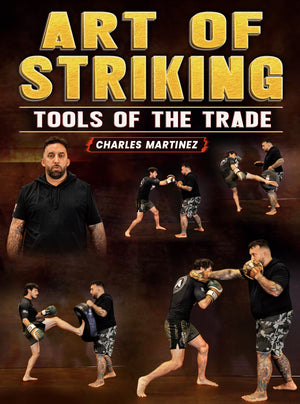 Art of Striking Tools of the Trade by Charles Martinez - BJJ Fanatics