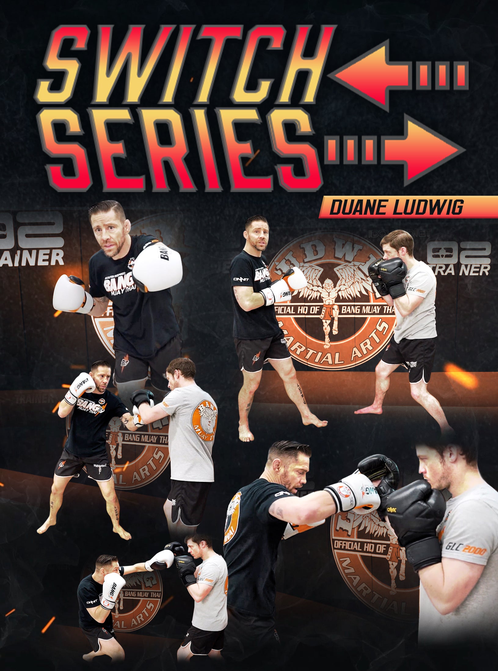 DuaneLudwig_SwitchSeries_Front