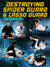 Destroying Spider Guard & Lasso Guard by Fabricio Andrey