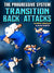 The Progressive System: Transition Back Attacks by Flavio Canto - BJJ Fanatics