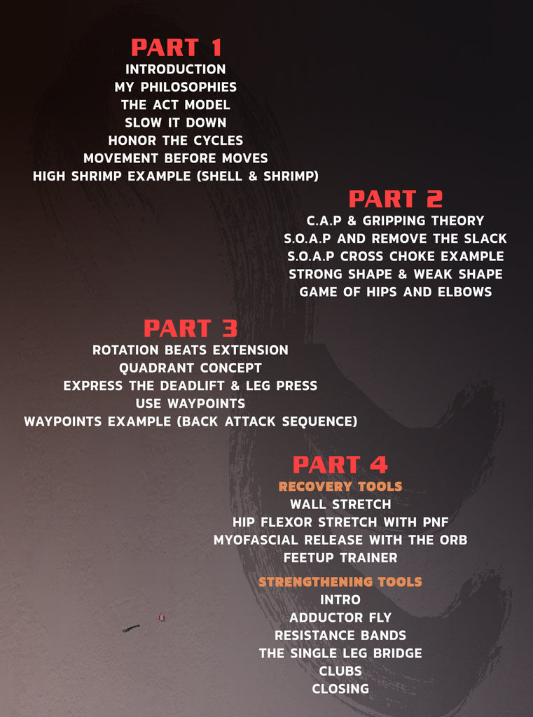 Jiu Jitsu For a Lifetime by Nicolas Gregoriades BJJ Fanatics