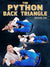 The Python Back Triangle by Michael Chu
