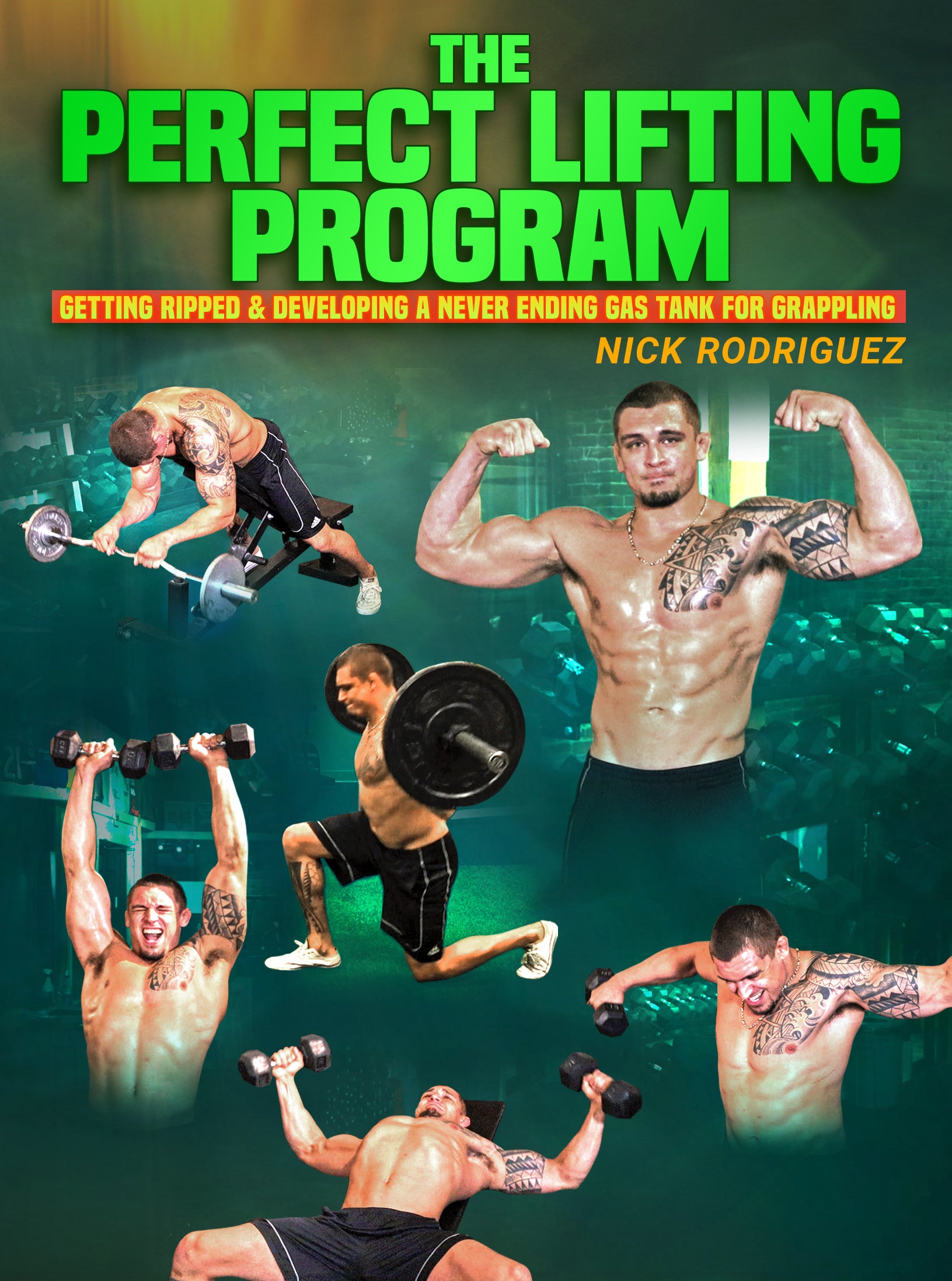 The Perfect Lifting Workout by Nick Rodriguez – BJJ Fanatics