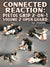 Connected Reaction: Pistol Grip 2 on 1 Volume 2: Open Guard by Paul Schreiner - BJJ Fanatics
