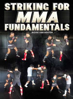 Striking For MMA Fundamentals by Richie Van Houten - BJJ Fanatics