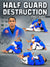 Half Guard Destruction by Romulo Barral - BJJ Fanatics