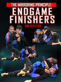 Mirroring Principle: End Game Finishers by Wim Deputter